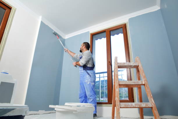 Best Mold Remediation for Healthcare Facilities  in Ouray, CO
