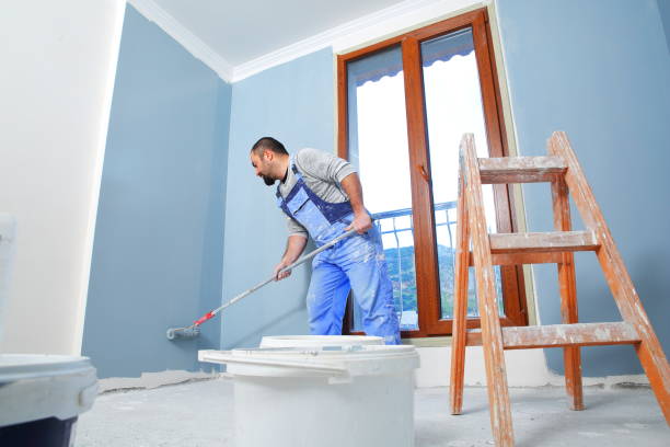 Best Mold Prevention Services  in Ouray, CO