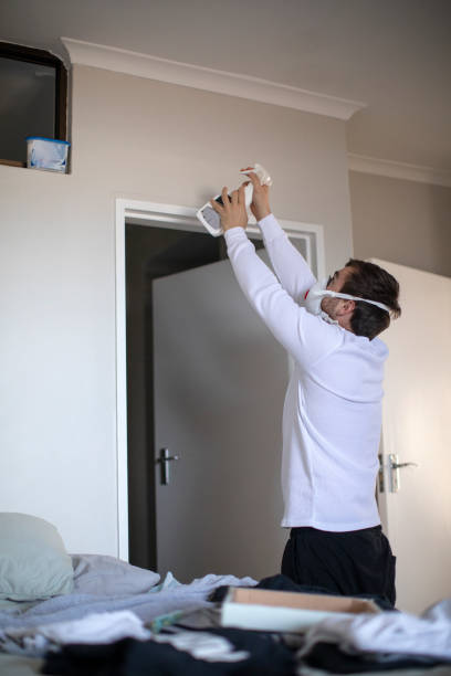  Ouray, CO Mold Removal Pros