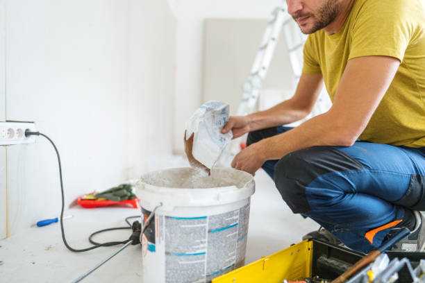 Best Black Mold Removal  in Ouray, CO