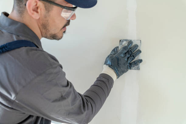 Best Mold-Related Health Consultation  in Ouray, CO