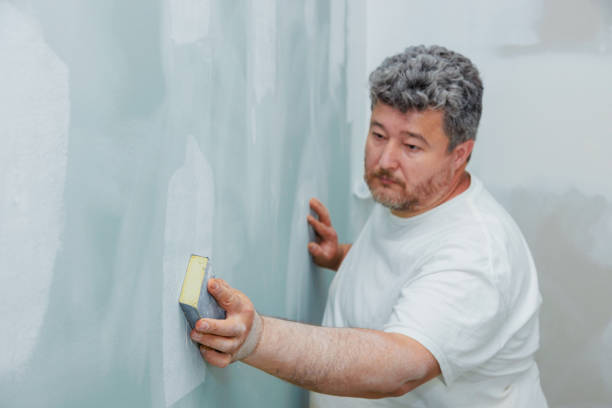 Best Industrial Mold Remediation  in Ouray, CO