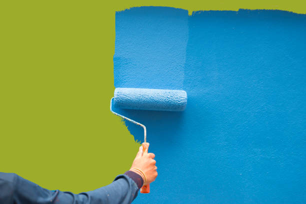 Mold Remediation for Rental Properties in Ouray, CO