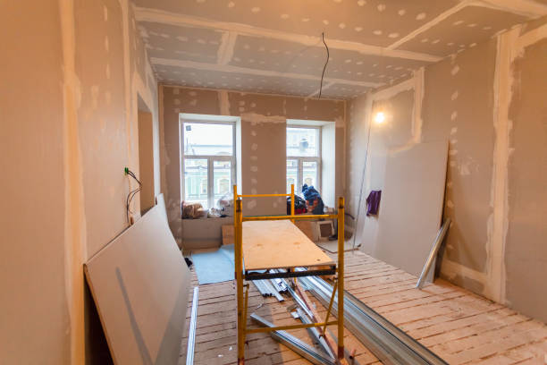 Best Emergency Mold Remediation  in Ouray, CO